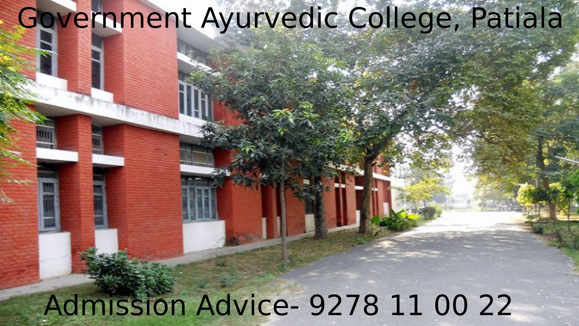 Government Ayurvedic College, Patiala